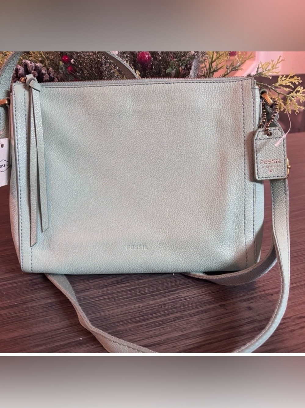 NWT Fossil Leather Crossbody Bag